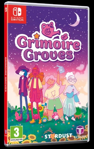 Nintendo switch grimoire - nintendo, switch: