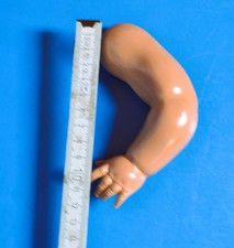 Schildkröt Zelluloid