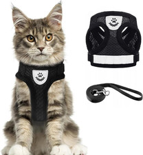 Katzengeschirr und Leine