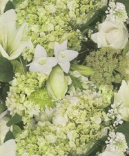 Rasch Tapete 885507 Rosen