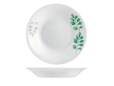 6 Teller Opal Botanik Grün
