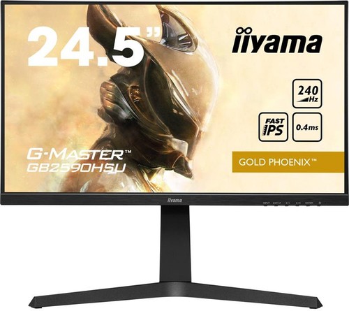Iiyama master gb2590hsu - iiyama, g-master