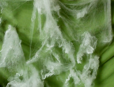 (197,50 €/kg) 20 g Deko