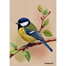 Postkarte Vogel. Kohlmeise
