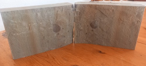 Fossilien fossilie - fossilien,