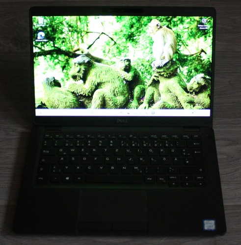 Dell latitude 5300 - 5300, 13"