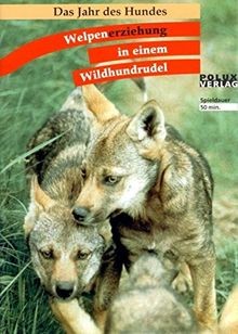 Welpenerziehung einem - in,