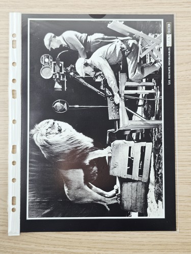 Studio magazin sammlung - magazin,