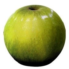 BALERI ITALIA TATINO EVA