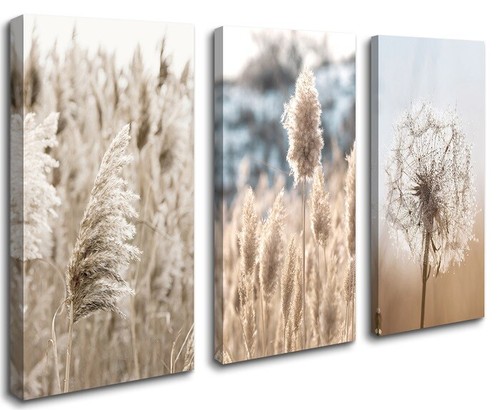 Bilder leinwand boho - bilder,