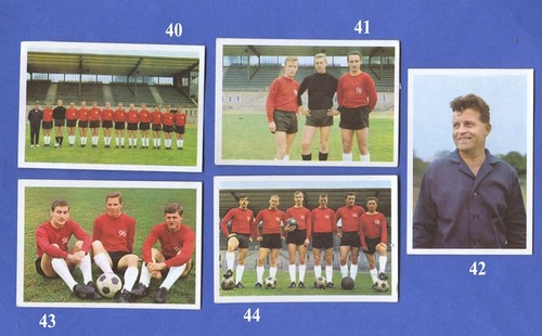 Bergmann 1966 5 - bergmann,