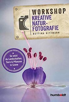 Workshop kreative - workshop,