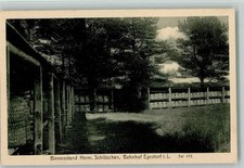 13023162 - 2115 Egestorf Viele Klrbe - Bienenstand Herm. Schlueschen Egestorf