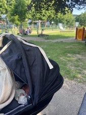 Quinny Moodd Babywanne Black