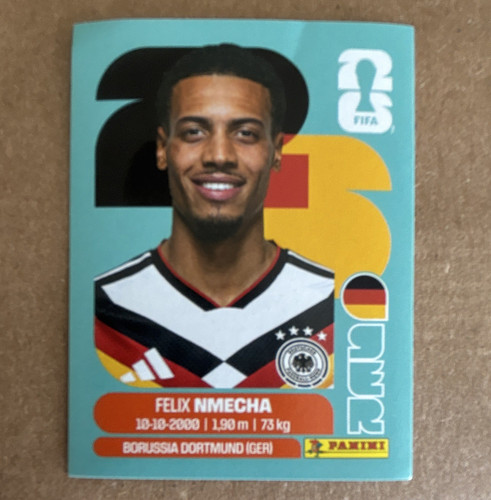 Panini fifa world cup - world,