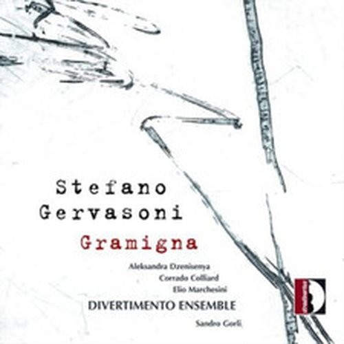 Stefano gervasoni - gervasoni,