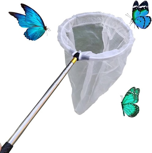 Teleskop insekten und - teleskop-insekten-,