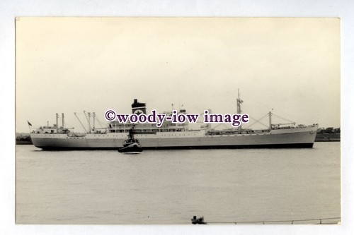Pf3743 blue star cargo - -,