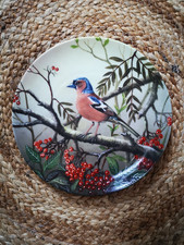 Tirschenreuth Sammelteller Motiv Buchfink mit Vogelbeeren K.H. Boese