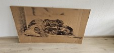 Großes streetart wandbild - streetart, /