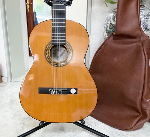 Gitarre höfner - ✅gitarre,