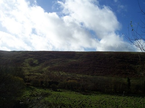 Foto 6x4 exmoor der - in, nähe