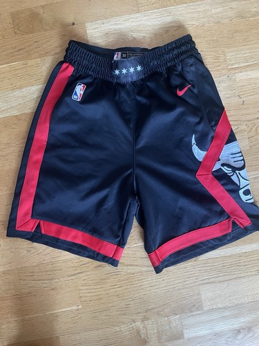 Nike chicago bulls 2023 - chicago,