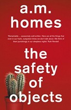 The Safety of Objects,A. M