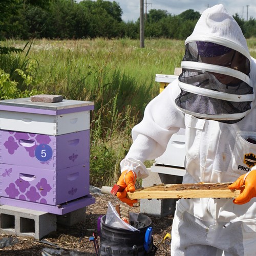 Pcs biene hive marker - 20,