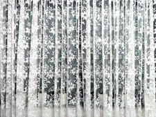 Gardine B2,60m L2,45m Weiß