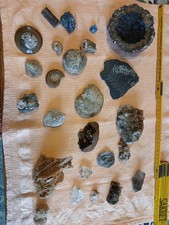 Mineralien Sammlung –