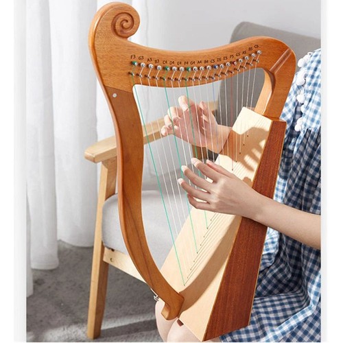 Kleine palisander saiten - kleine,