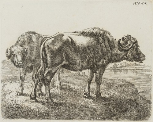 Klein die - klein, (1792-1875),