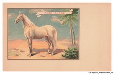 CAR-AEZP11-0539-MAROKKO -