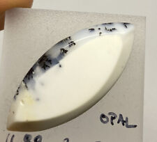 DENDRITENOPAL Freeform (11.88