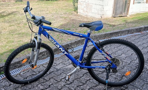 Giant rock mountainbike mit - rock,
