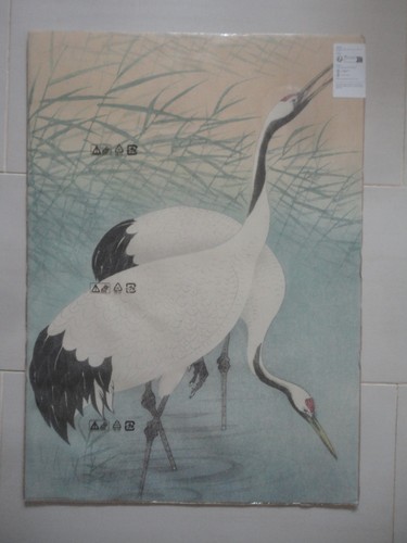 Bild vogel kranich - 2,