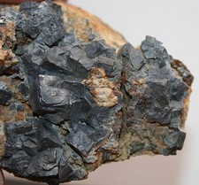 Vitrinenstück Galenit xx 