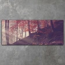 Leinwandbilder Wandbild XXL