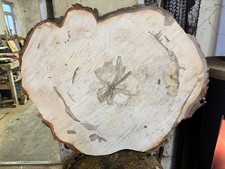 Baumscheibe Tischplatte Deko