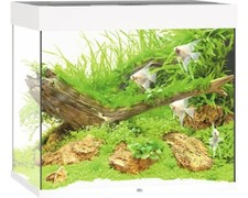 Aquarium JUWEL Lido 200 mit