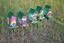 Bienenkönigin Paarung Nuc Box