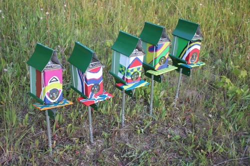 Bienenkönigin paarung nuc box - paarung,