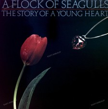 A Flock Of Seagulls - The
