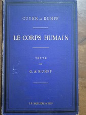 Der menschliche Körper