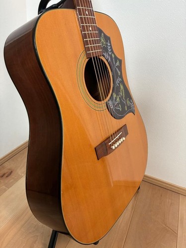 Kiso suzuki holly 25 - kiso,