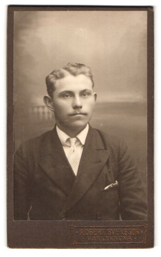 Fotografie robert svensson - robert,