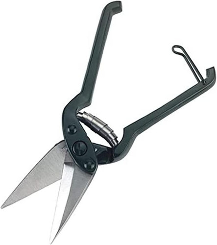 Klauenschere für schafe - für,