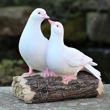 Taubenpaar stehend auf