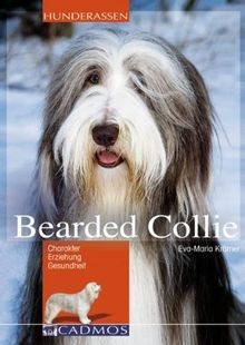 Bearded collie charakter - bearded, collie: